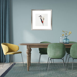 Wall mounted fine art print of a Greater Spotted Woodpeckerbird by artist Amanda Gosse