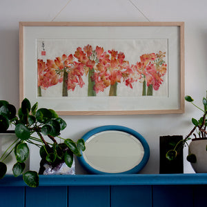 Clivia,mounted and framed, hanging in my studio