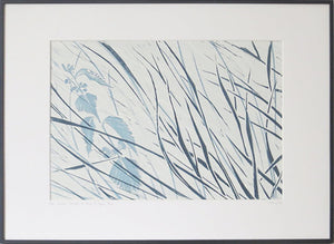 Denham Grasses in Stone & Hague Blue by Sarah Knight Display