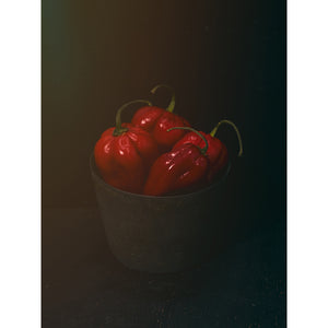 Dutch Masters 08 bucket with 4 red peppers by Michael Frank