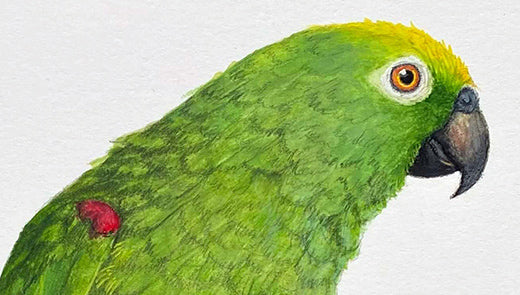 Share a Story Month: May 15th: "A Prince among Parrots"