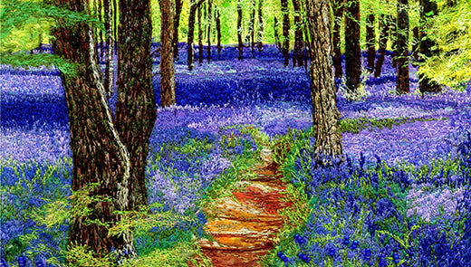 Bluebell Festival