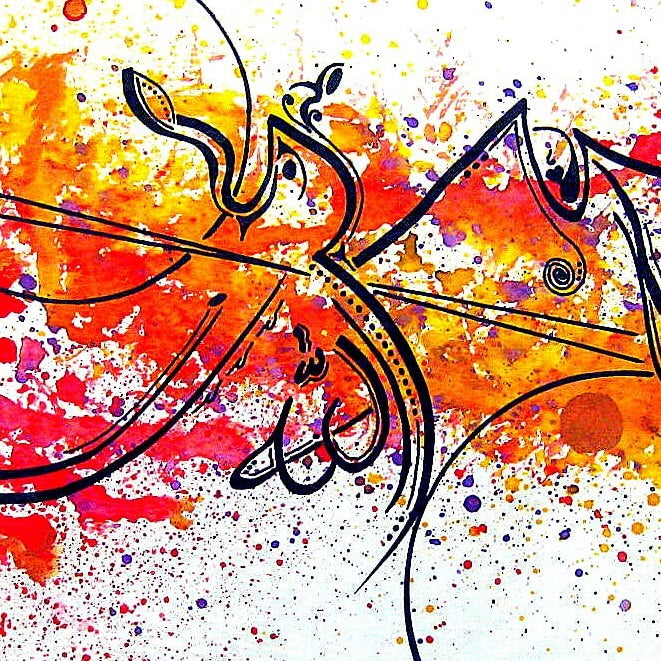 Samaira Ali Collection