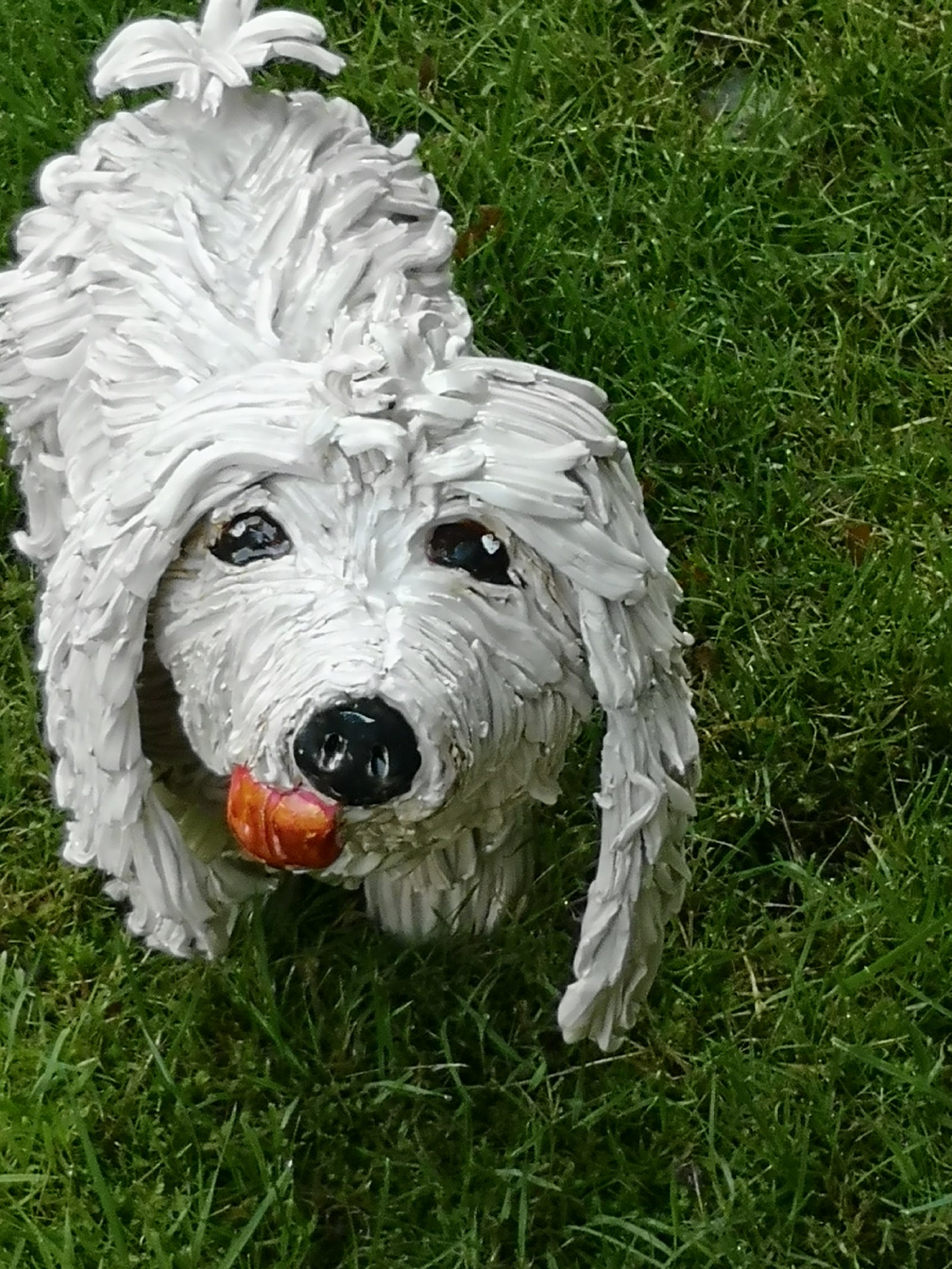 shaggy white dog with tongue out