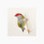 Fine art giclée print of an Australian red-browed finch bird by artist Amanda Gosse