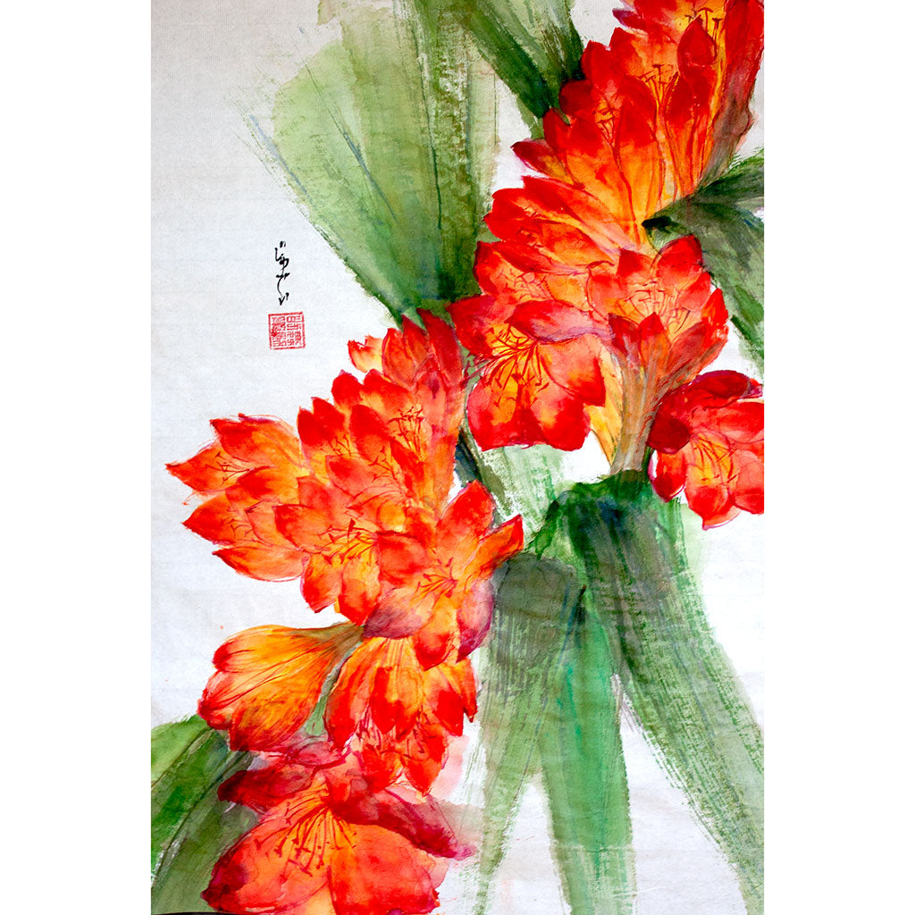 April - Clivia