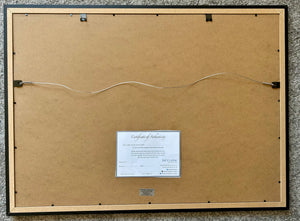 Back of artwork
