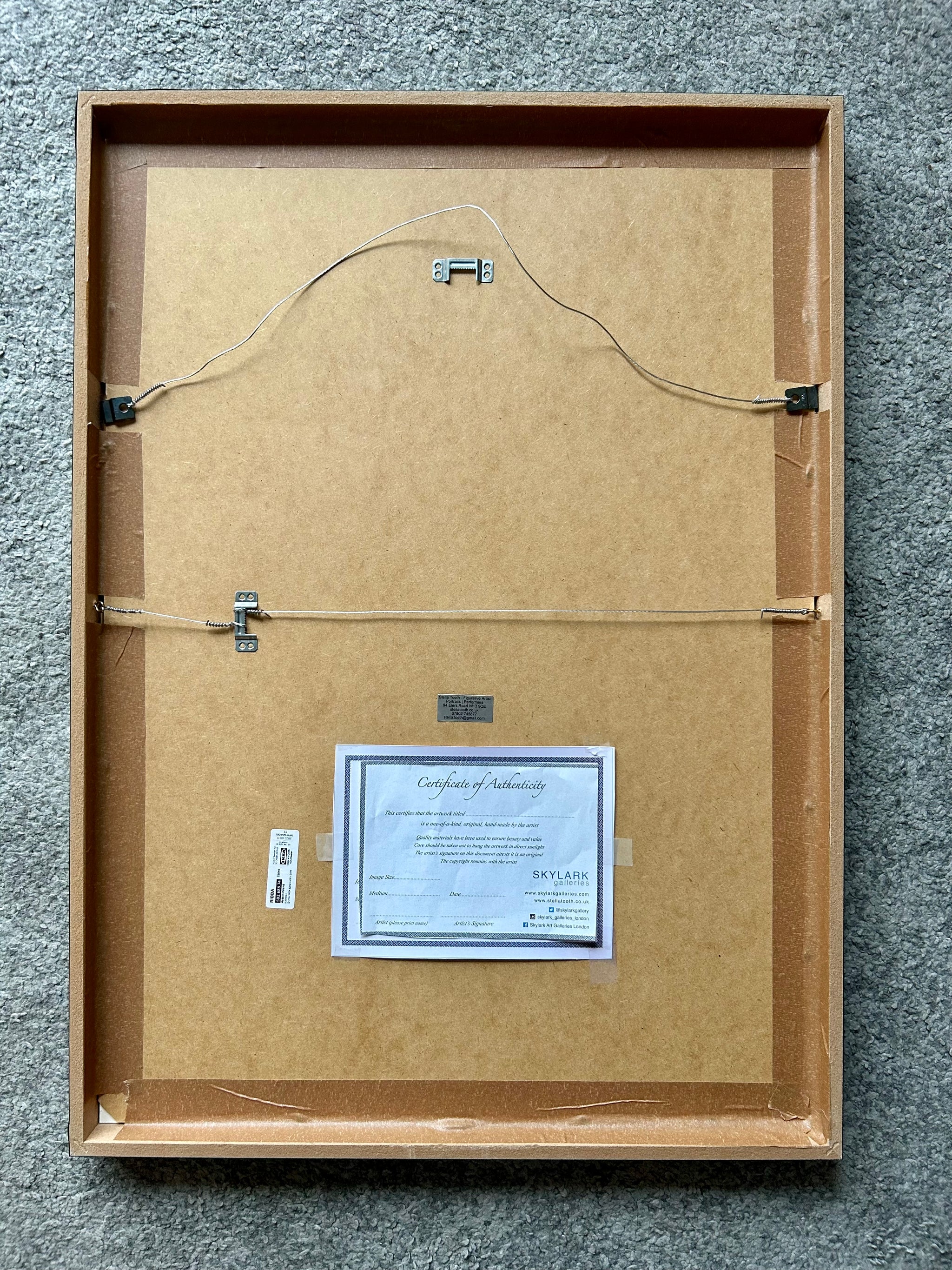 Elvis Costello by Stella Tooth back of artwork