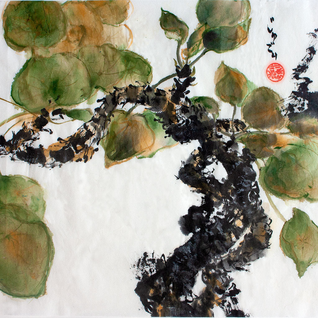 And old Friendship plant