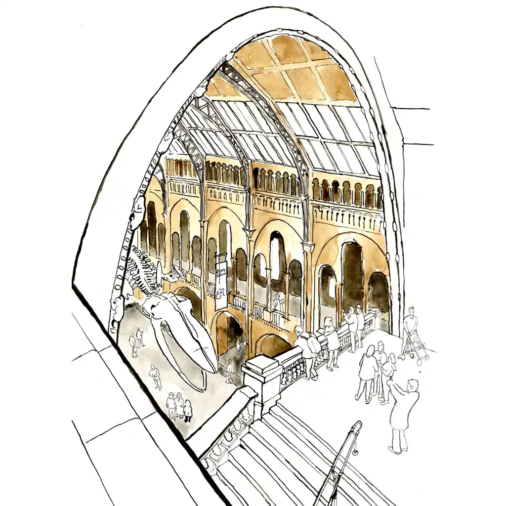 Architectural sketch illustration of a grand indoor exhibition hall at the Natural History Museum with arched ceilings, staircases, and small outlined figures, rendered in black linework with warm beige and tan washes on a white background.