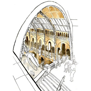 Architectural sketch illustration of a grand indoor exhibition hall at the Natural History Museum with arched ceilings, staircases, and small outlined figures, rendered in black linework with warm beige and tan washes on a white background.