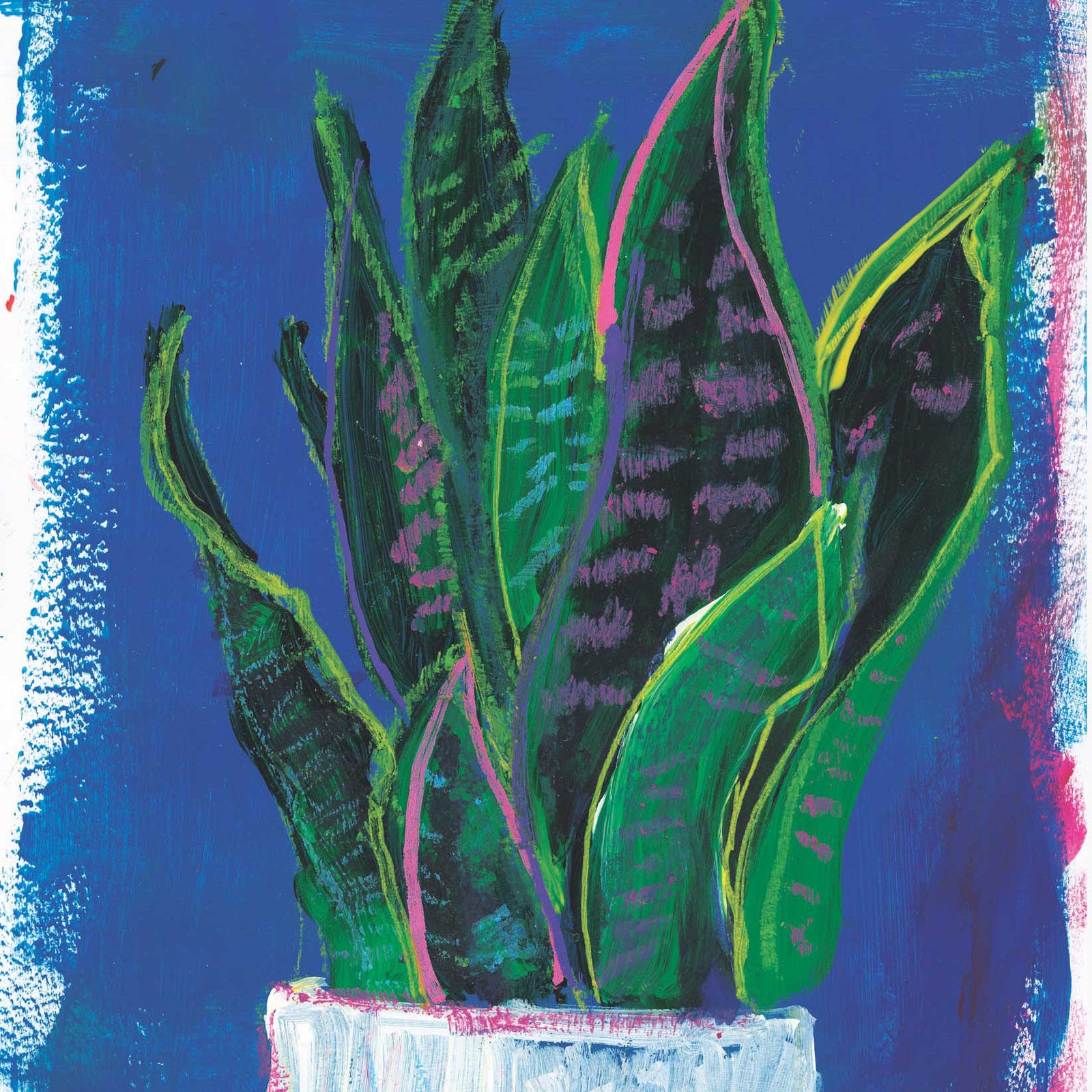 Mother in Law's Tongue by Rose Owen