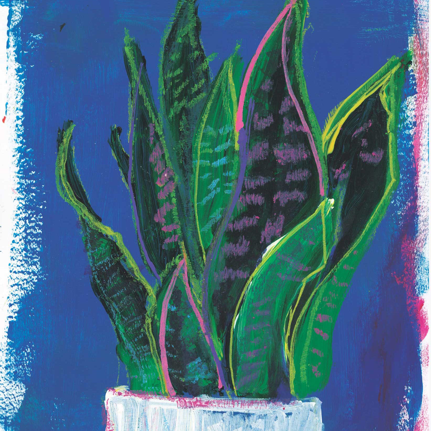 Mother in Law's Tongue by Rose Owen