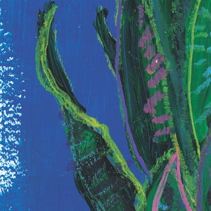 Mother in Law's Tongue by Rose Owen