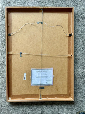 Arrogance vs conviction the tightrope by Stella Tooth back view