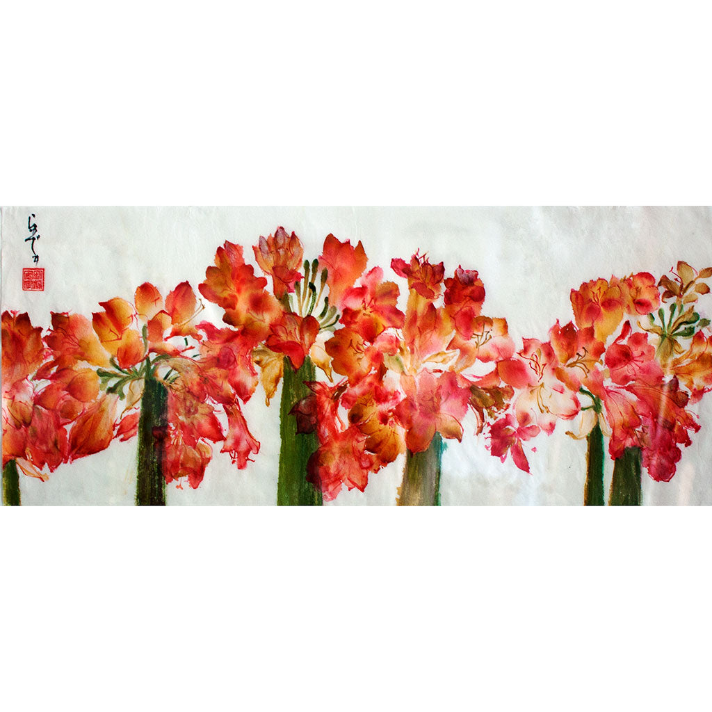 clivia - late blooming in April