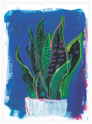 Mother in Law's Tongue by Rose Owen