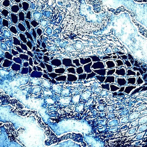 A close up of GAIA III mixed media original artwork using collagraph print with gouache by London based artist Linda Jenkins


