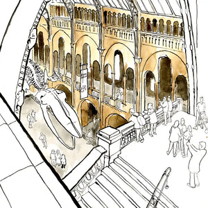 A hand-drawn architectural illustration of the natural history museum interior with arches, balconies, stairs, and several small figures of people. A large whale skeleton is suspended on the left, and the scene is rendered in warm beige, tan, brown, and black ink tones.