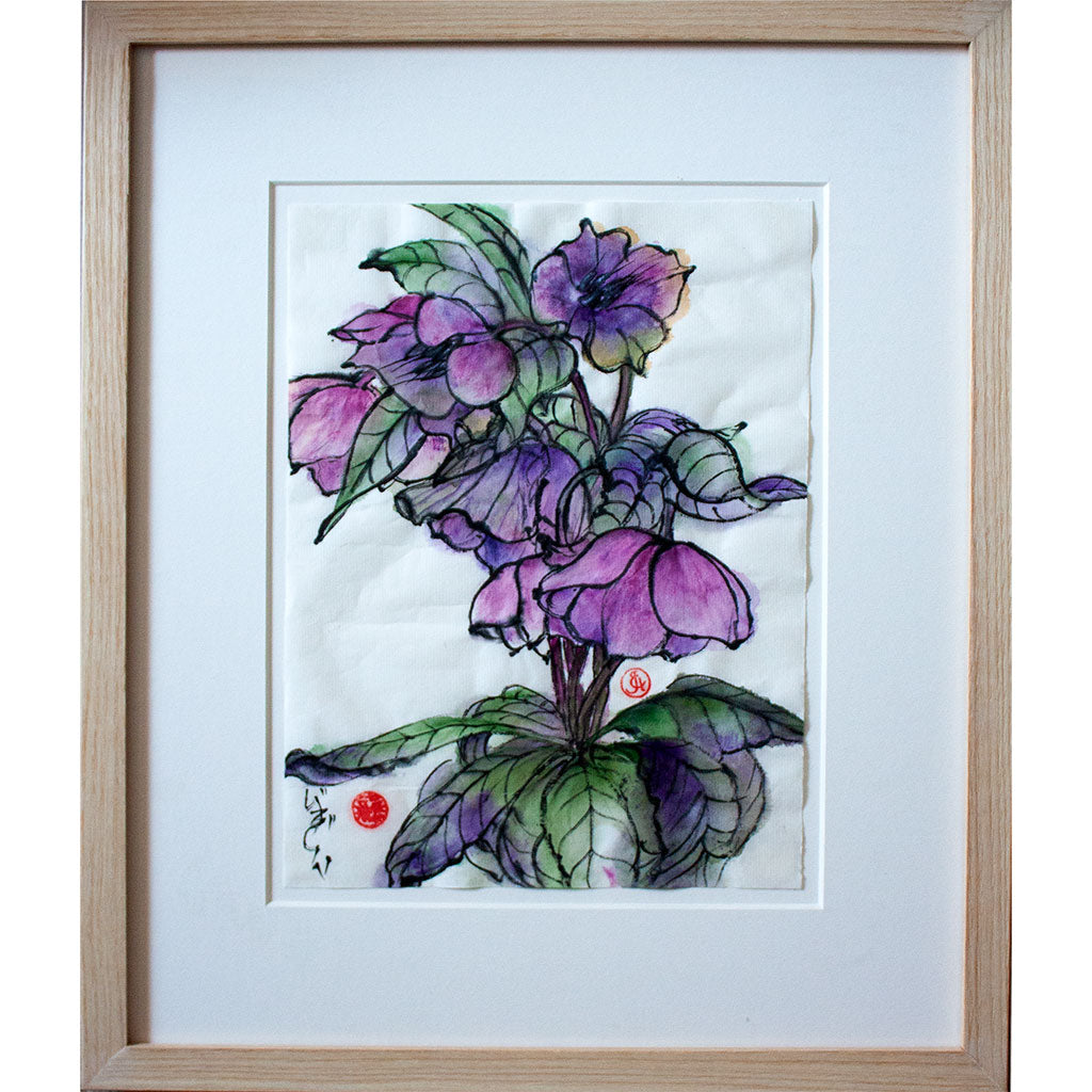 Pink Helleborus by Judy Head