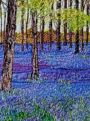 Sea of Bluebells by Diana Mckinnnon