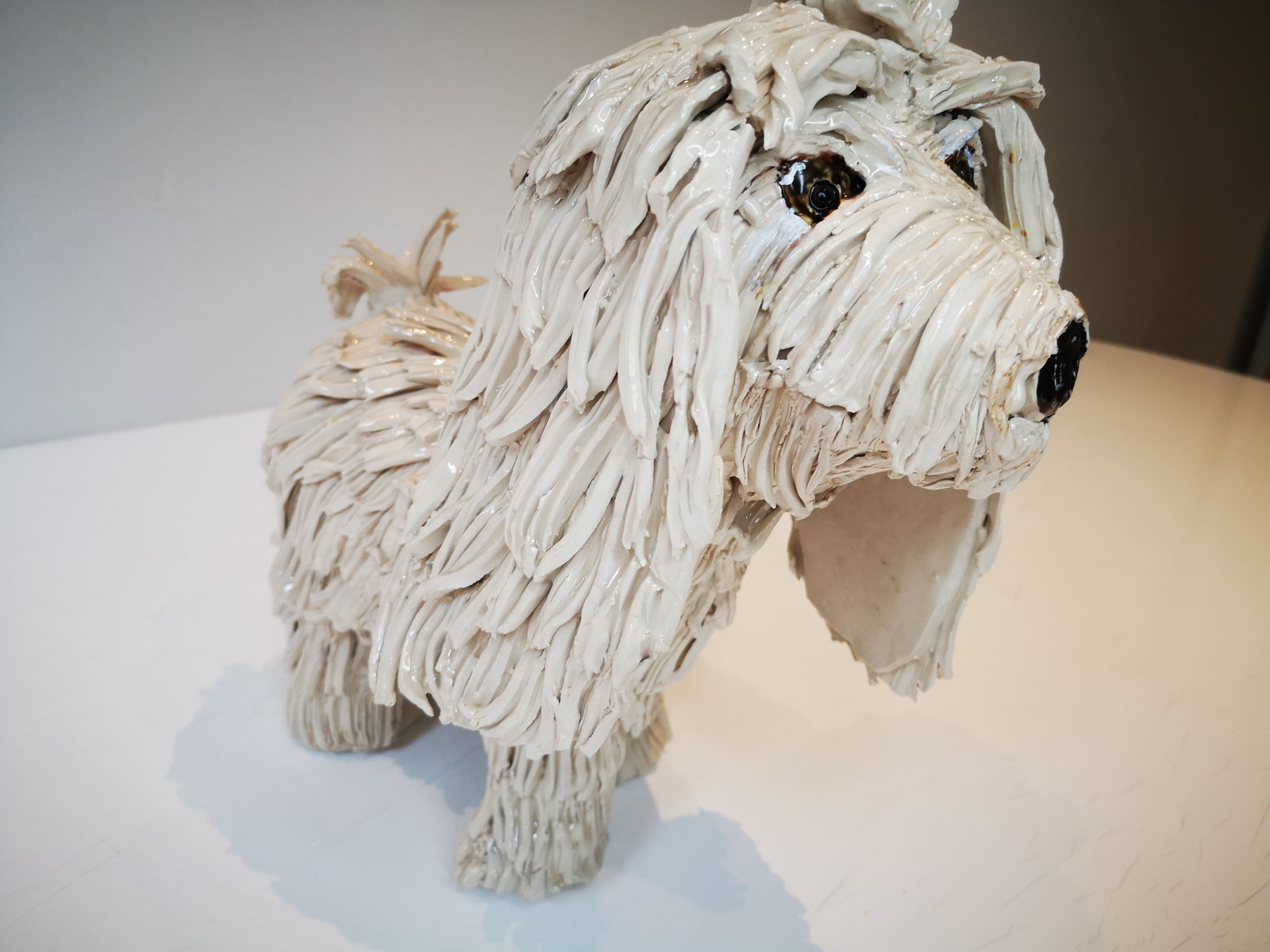 shggy white dog