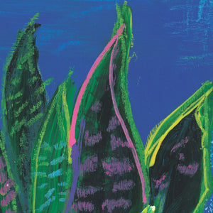 Mother in Law's Tongue by Rose Owen