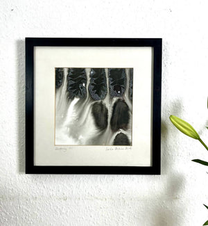 WHISPERING III original artwork using acrylic inks by London based artist Linda Jenkins framed and hanging on a wall
