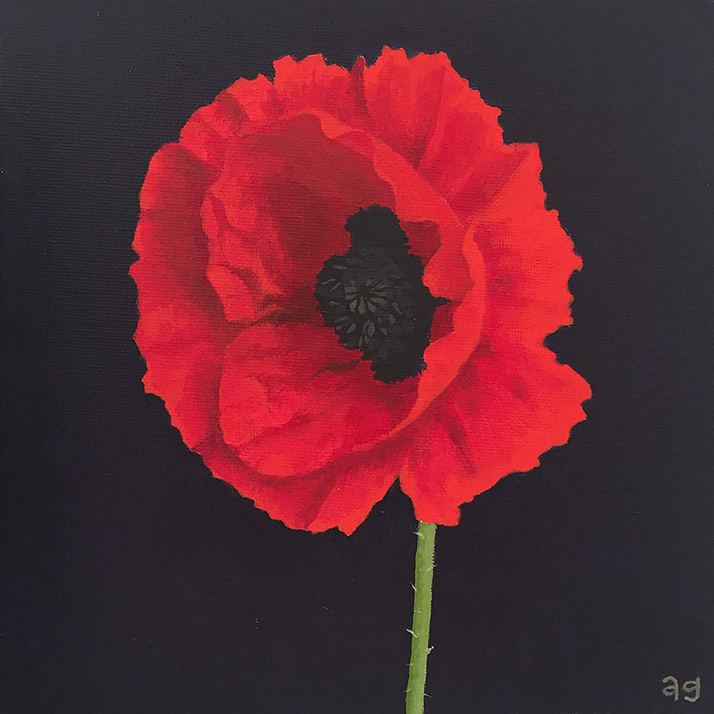 Red poppy flower small painting. Acrylic on canvas panel artwork by artist Amanda Gosse