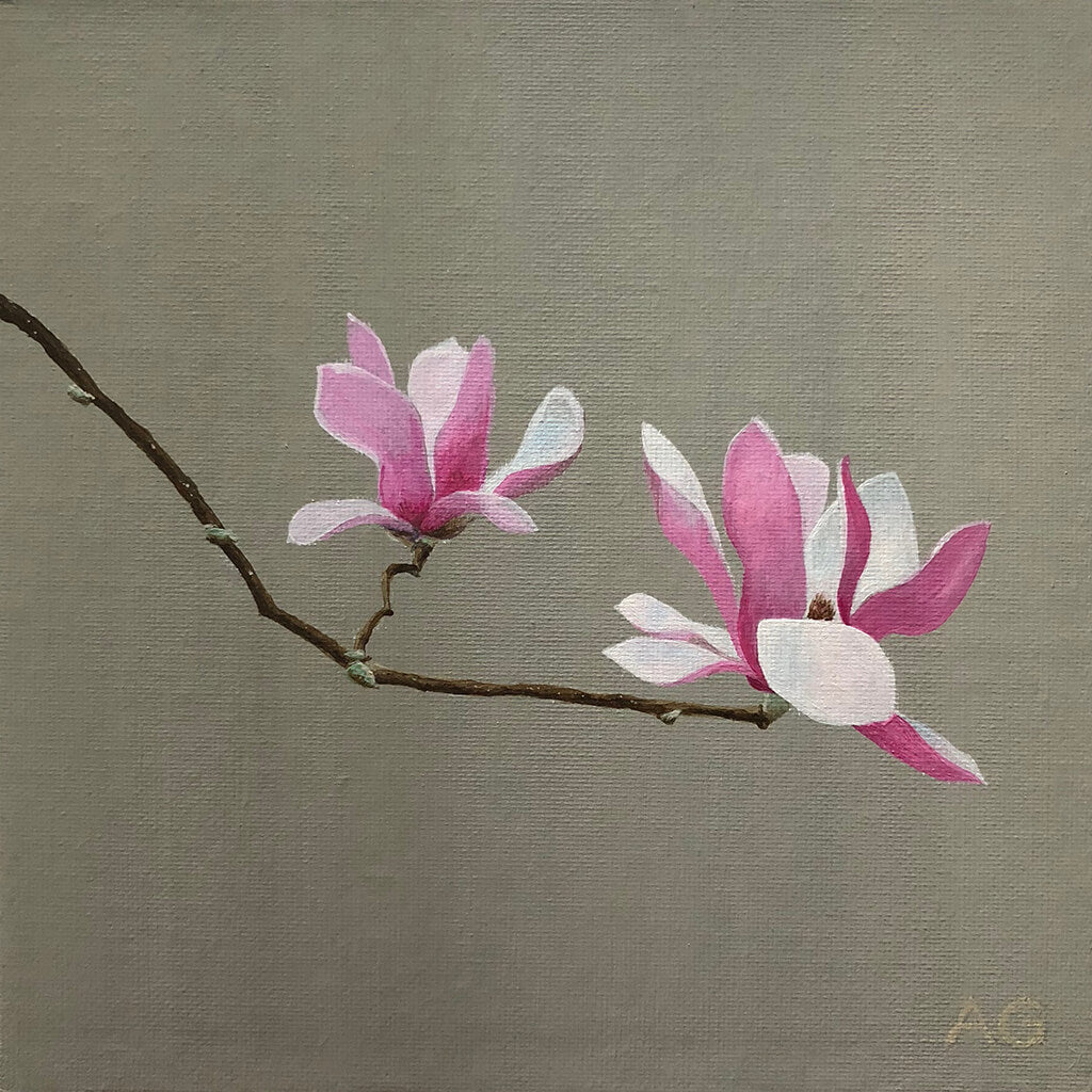 Magnolia blossoms by Amanda Gosse. Original floral painting in acrylic on canvas panel.