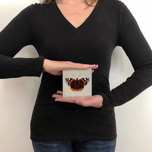Original miniature acrylic on canvas panel painting of a red admiral butterfly by artist Amanda Gosse