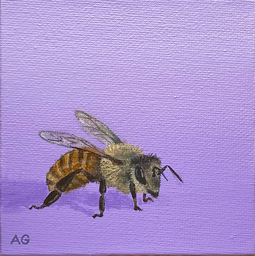Honey bee miniature acrylic on canvas artwork by Amanda Gosse