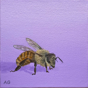 Honey bee miniature acrylic on canvas artwork by Amanda Gosse