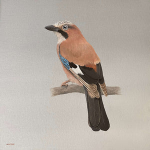 Jay bird by Amanda Gosse acrylic on canvas original painting