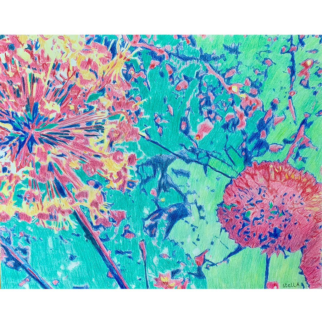 Allium Pencil on Cradled Gesso Panel by Stella Tooth