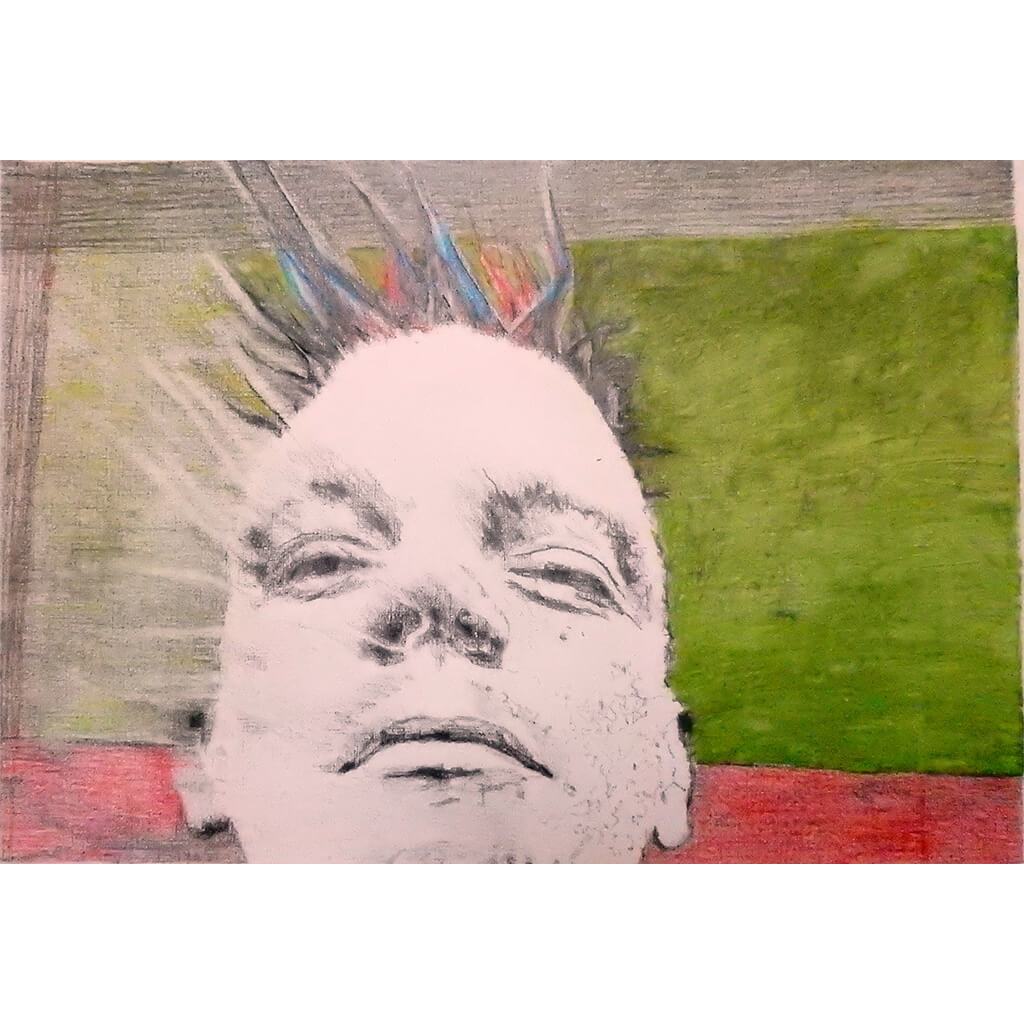 Spikey the bed o’ nails artist mixed media drawing on paper by Stella Tooth