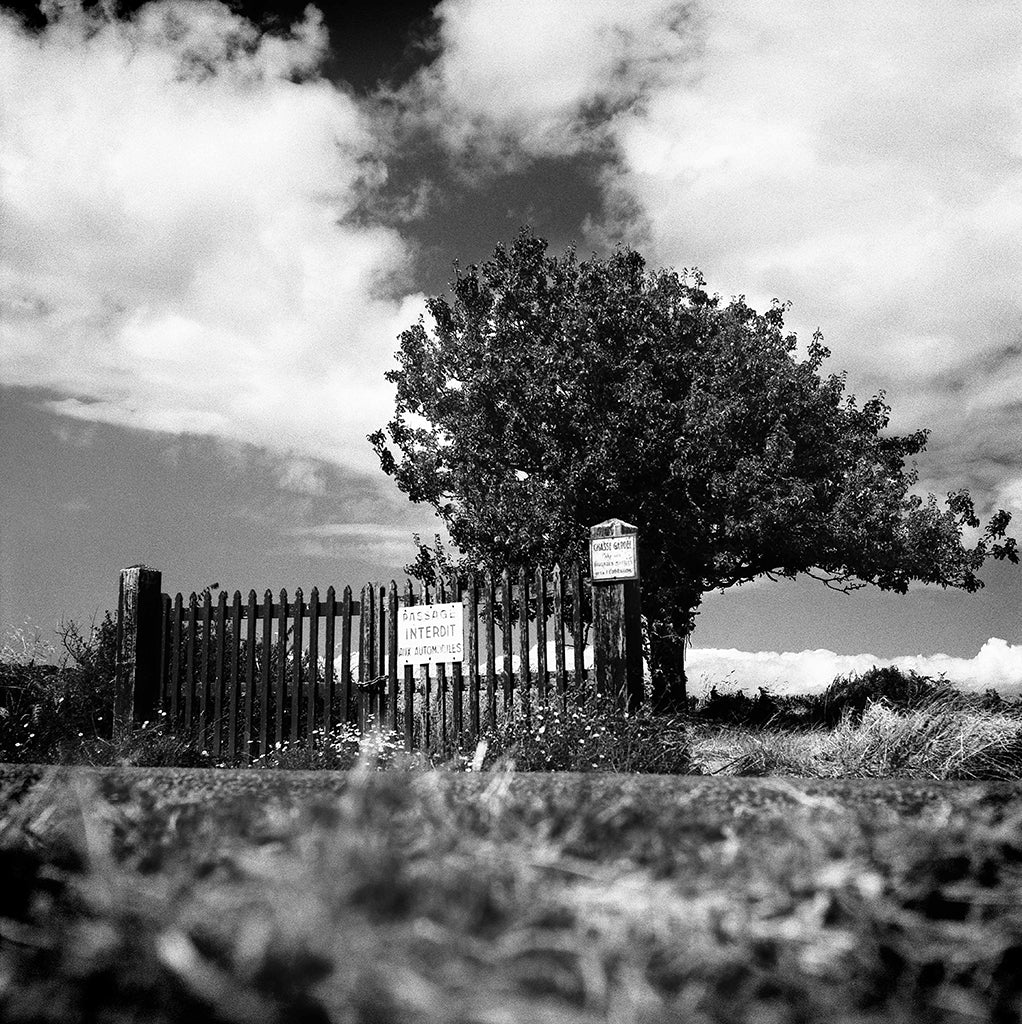 Brittany 02 black and white photograph by Michael Frank