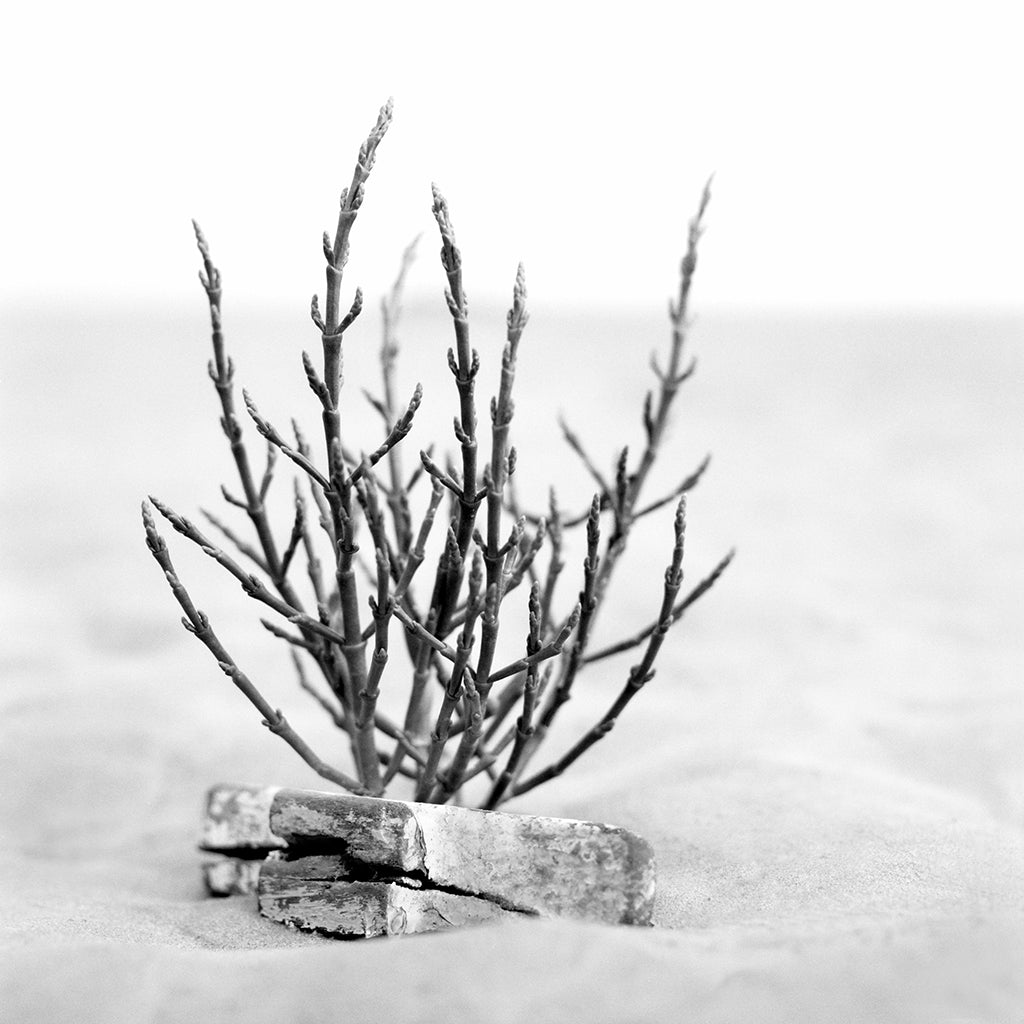 Brittany 07 black and white photograph by Michael Frank