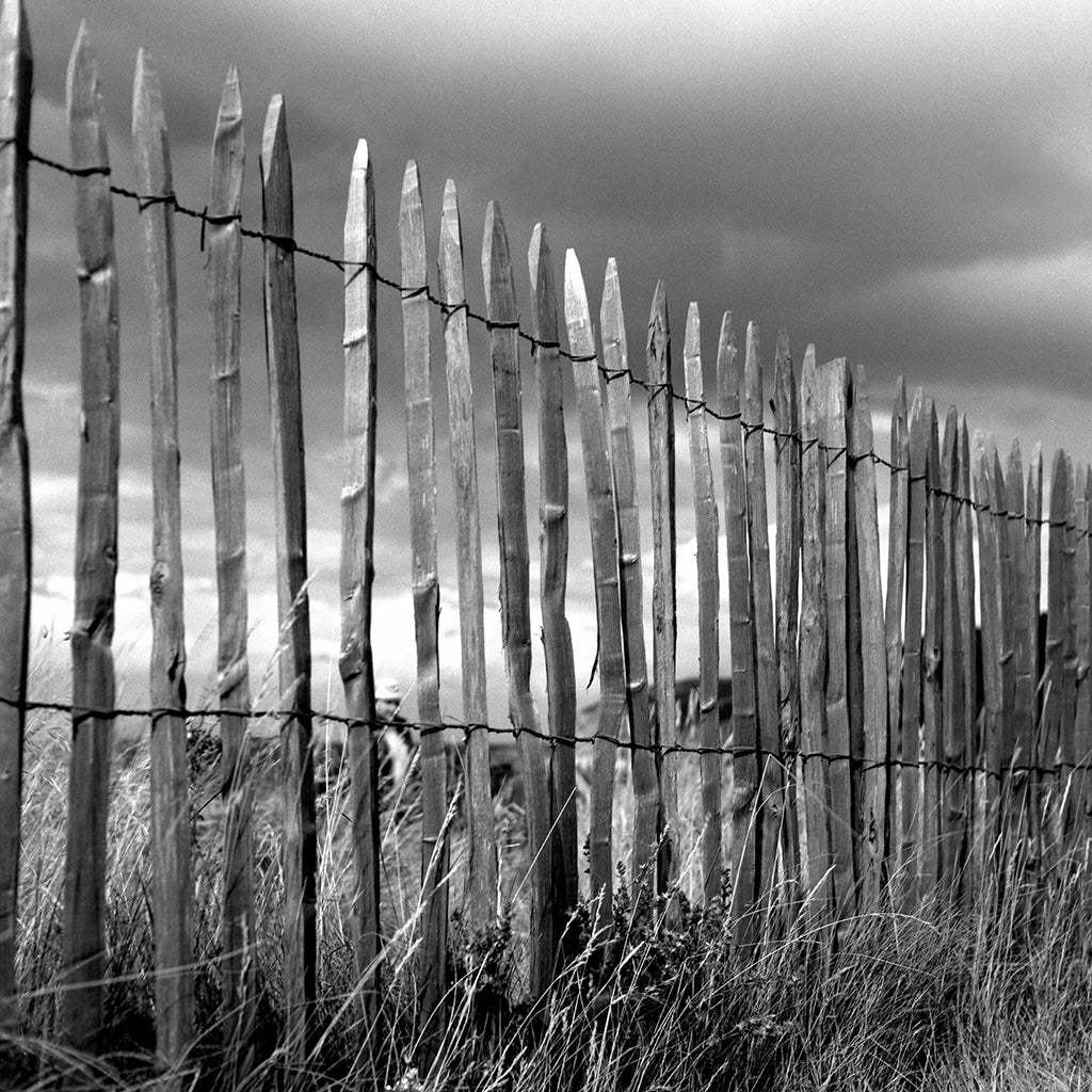 Brittany 10 black and white photograph by Michael Frank