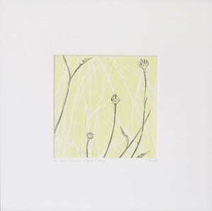 Buds & Grasses in Lemon & Grey OR in Dove Blue & Chocolate by Sarah Knight