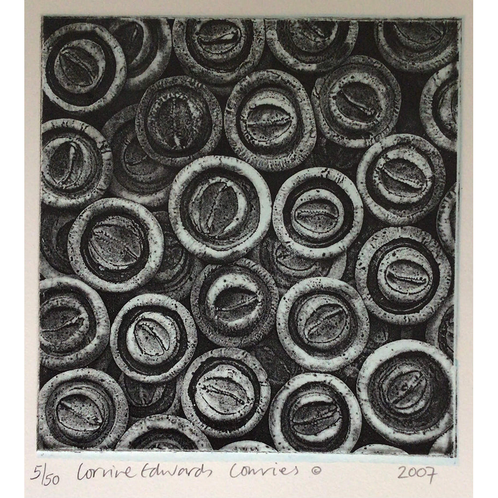 Cowries limited edition photo etching on cream Somerset paper by Corrine Edwards