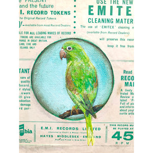 EMI Parakeet Mixed media on canvas painting of a green bird on a record sleeve by artist Sarita Keeler