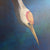 Eternity by Helen Trevisiol Duff acrylic on canvas painting of red crowned crane birds close up
