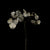 Hydrangea on black photograph by Michael Frank