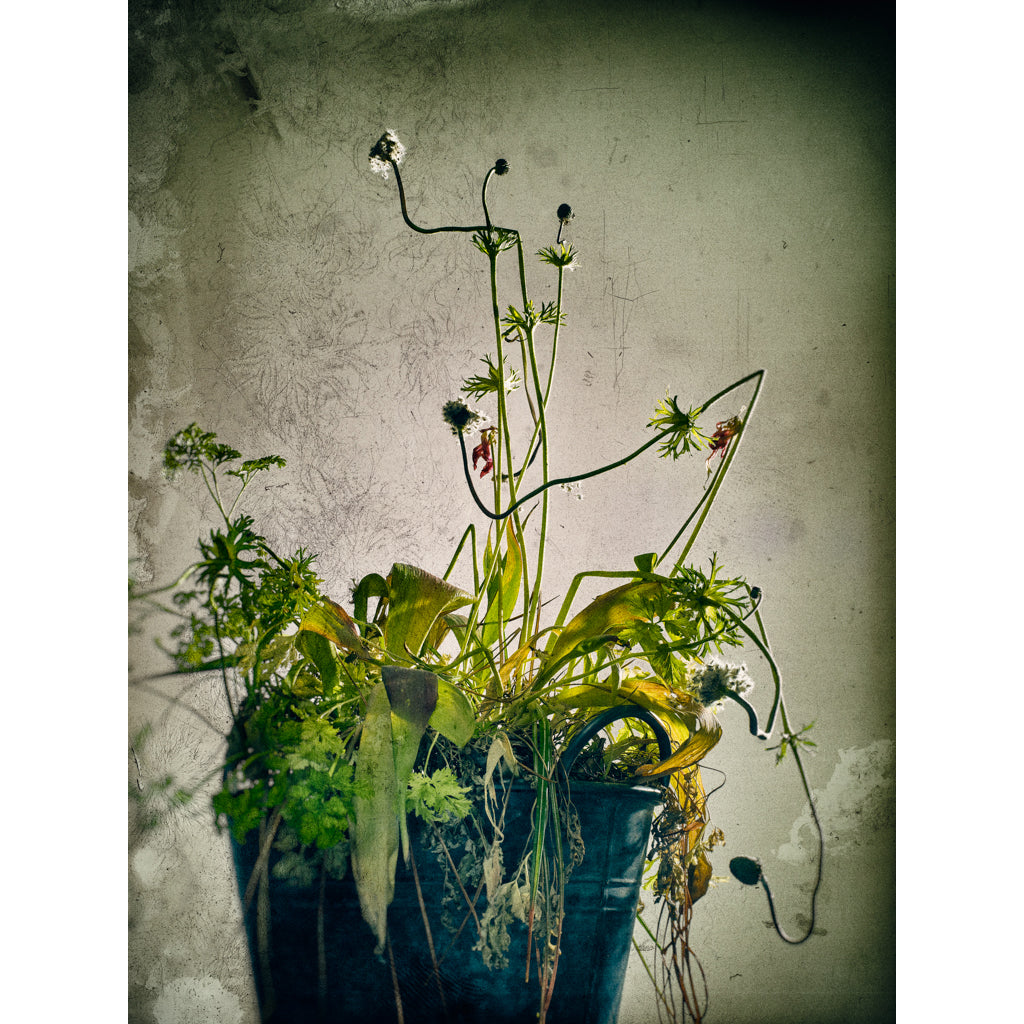 Summer Is Over 01 photograph by Michael Frank