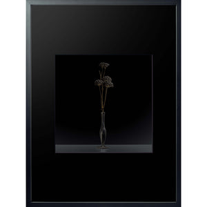 Filigrana 03 digital manipulation rayograph framed 80x60cm by Michael Frank