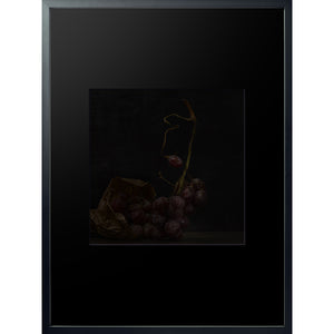 Dutch Masters 05 framed 60x80cm bunch of grapes still life by Michael Frank