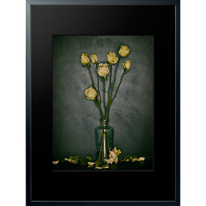 Dutch Masters 18 spent yellow roses framed 80x60cm photograph by Michael Frank