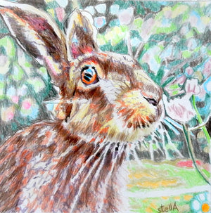 Harry the hare Original Artwork by Stella Tooth