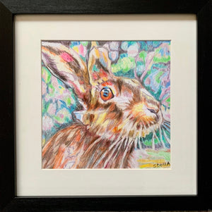 Henrietta hare pencil on paper by Stella Tooth animal artist in frame